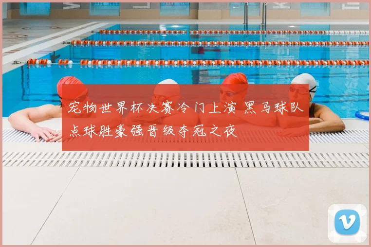 宠物世界杯决赛冷门上演 黑马球队点球胜豪强晋级夺冠之夜