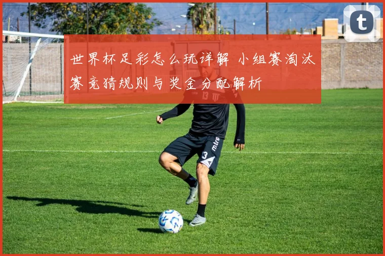 世界杯足彩怎么玩详解 小组赛淘汰赛竞猜规则与奖金分配解析