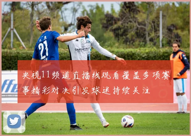 央视11频道直播线观看覆盖多项赛事精彩对决引发球迷持续关注