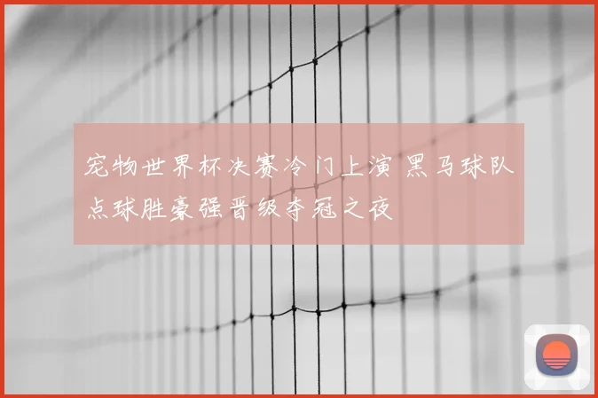宠物世界杯决赛冷门上演 黑马球队点球胜豪强晋级夺冠之夜